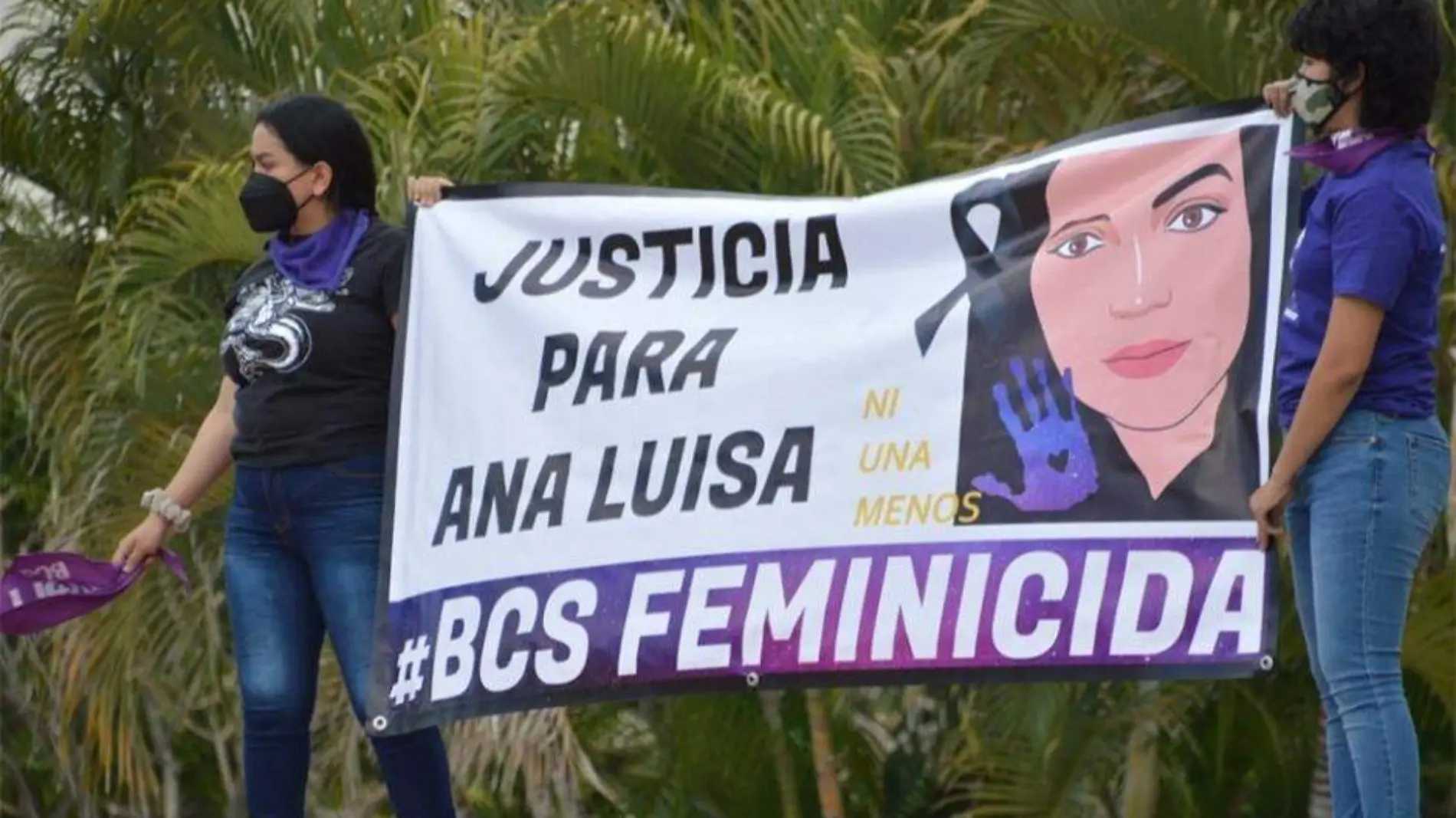 Ana Luisa Feminicidios